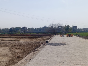  Residential Plot for Sale in Dankaur, Gautam Buddha Nagar