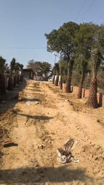  101 Sq. Yards Residential Plot for Sale in Dankaur, Gautam Buddha Nagar