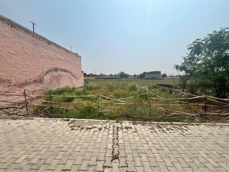  Residential Plot 1125 Sq.ft. for Sale in Kurali Highway, Chandigarh