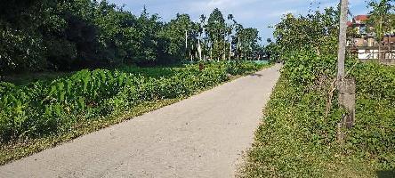  Residential Plot for Sale in Silapathar, Dhemaji