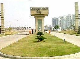  Residential Plot for Sale in Dharuhera, Rewari