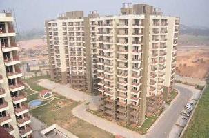 2 BHK Flat for Sale in Sector 24 Dharuhera