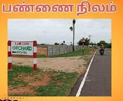  Agricultural Land for Sale in Dindigul Road, Tiruchirappalli