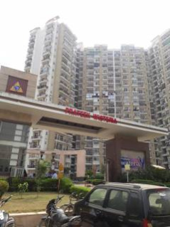 2.5 BHK Flat for Rent in Sector 77 Noida