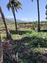  Agricultural Land for Rent in Musiri, Tiruchirappalli