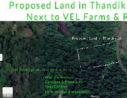  Agricultural Land for Sale in Thandikudi, Kodaikanal