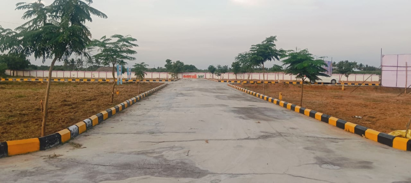  1250 Sq.ft. Residential Plot for Sale in Panjapur, Tiruchirappalli