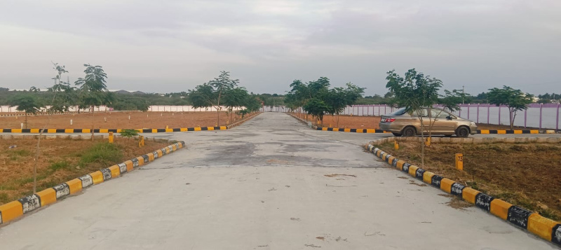  1250 Sq.ft. Residential Plot for Sale in Panjapur, Tiruchirappalli