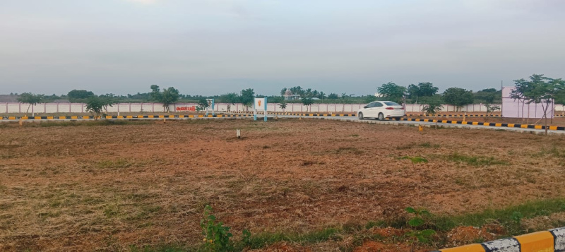  1250 Sq.ft. Residential Plot for Sale in Panjapur, Tiruchirappalli