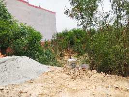  Residential Plot for Sale in Gopal Nagar Extension, Najafgarh, Delhi