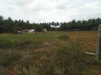 Commercial Land for Sale in Pollachi, Coimbatore