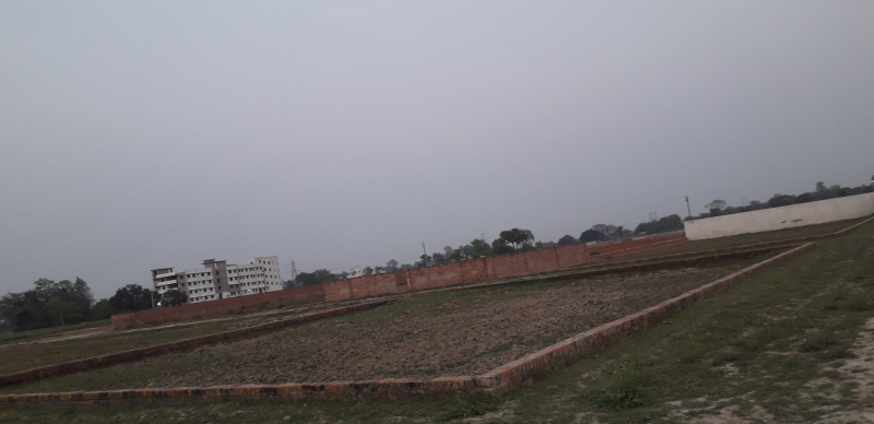  Residential Plot 1000 Sq.ft. for Sale in Itaunja, Lucknow