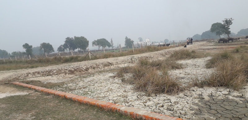  Residential Plot 1000 Sq.ft. for Sale in Itaunja, Lucknow