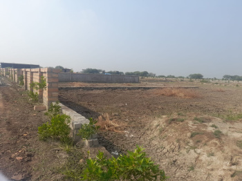  Residential Plot for Sale in Dholera, Ahmedabad