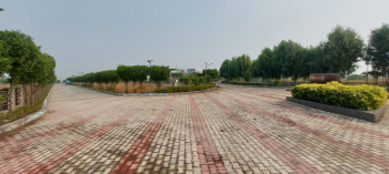  Residential Plot for Sale in Dholera, Ahmedabad