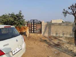  Residential Plot for Sale in Mahal Road, Jagatpura, Jaipur