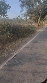  Agricultural Land for Sale in Kittur, Belgaum