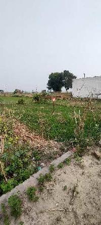  Commercial Land for Sale in Tarn Taran Road, Amritsar