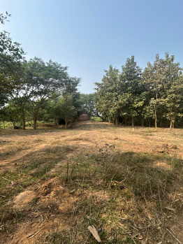  Agricultural Land for Rent in Balianta, Bhubaneswar