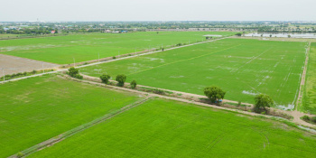  Agricultural Land for Sale in Manchirevula, Hyderabad