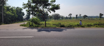  Commercial Land for Sale in Periyakulam, Theni
