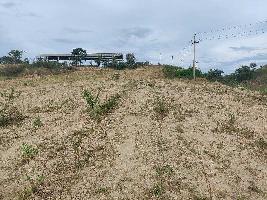  Agricultural Land for Sale in Holenarsipur, Hassan