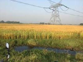  Agricultural Land for Sale in Nawabganj, Unnao