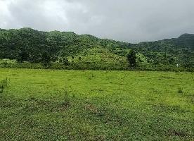  Agricultural Land for Sale in Nasrapur, Pune