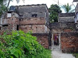  Residential Plot for Sale in Nabadwip, Nadia