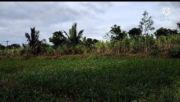  Agricultural Land for Sale in Varuna, Mysore