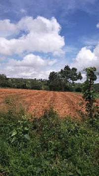  Agricultural Land for Sale in mysore, Mysore, Mysore