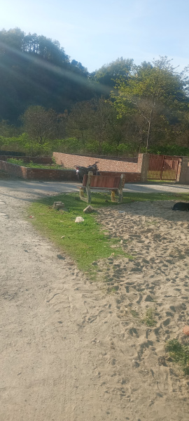  100 Sq. Yards Residential Plot for Sale in Garhi Cantt, Dehradun