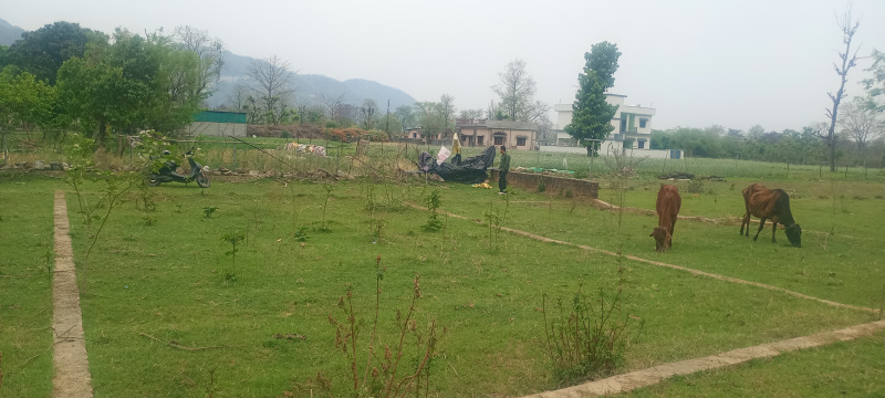  143 Sq.ft. Residential Plot for Sale in Raipur, Dehradun