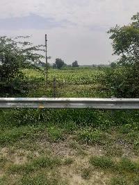  Agricultural Land for Sale in Yamuna Expressway, Greater Noida