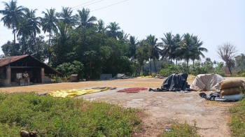  Industrial Land for Sale in Orathanadu Mukthambalpuram, Thanjavur
