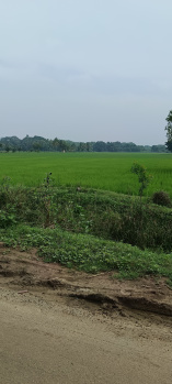  Agricultural Land for Sale in Thiruvidaimarudur, Thanjavur