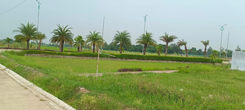 Residential Plot 1245 Sq.ft. for Sale in Sultanpur Road, Sultanpur Road, Lucknow
