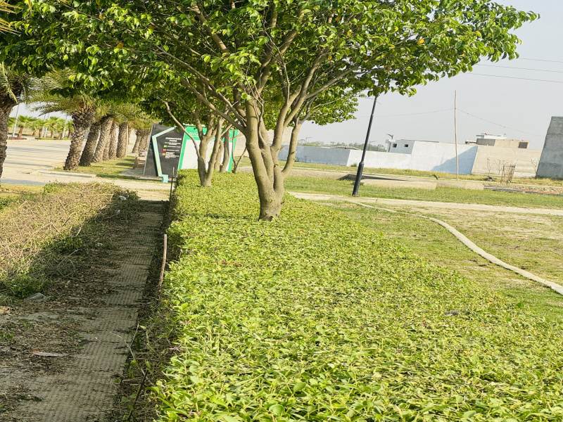  Residential Plot 1267 Sq.ft. for Sale in Sultanpur Road, Lucknow
