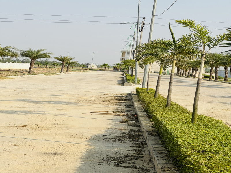  Residential Plot 1267 Sq.ft. for Sale in Sultanpur Road, Lucknow