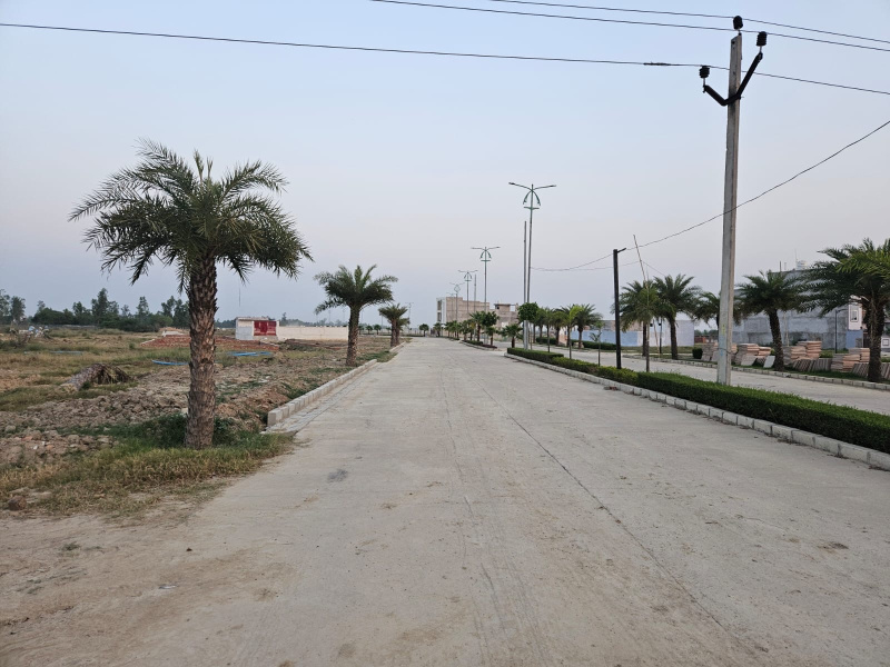  Residential Plot 1520 Sq.ft. for Sale in Sultanpur Road, Lucknow