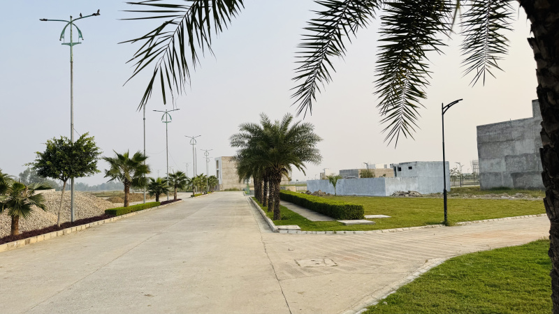  Residential Plot 1430 Sq.ft. for Sale in Sultanpur Road, Lucknow