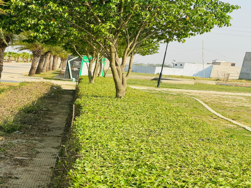  1050 Sq.ft. Residential Plot for Sale in New Jail Road, New Jail Road, Lucknow