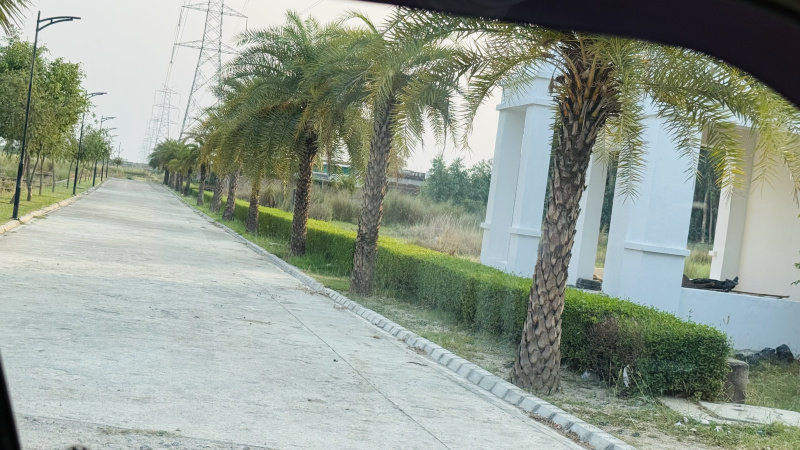  Residential Plot 880 Sq.ft. for Sale in New Jail Road, New Jail Road, Lucknow