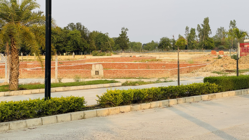  Residential Plot 880 Sq.ft. for Sale in New Jail Road, New Jail Road, Lucknow