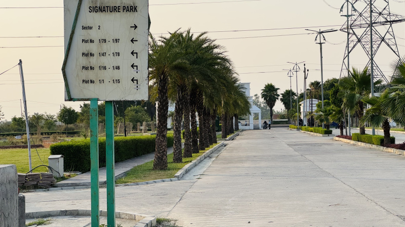  Residential Plot 1205 Sq.ft. for Sale in New Jail Road, New Jail Road, Lucknow