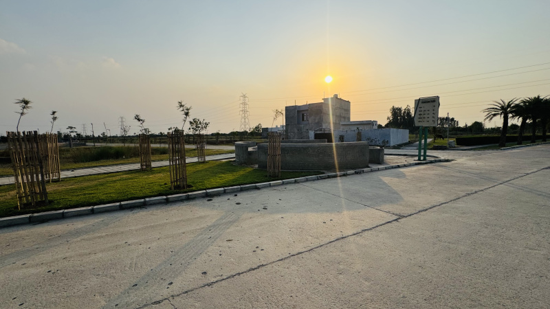  Residential Plot 1205 Sq.ft. for Sale in New Jail Road, New Jail Road, Lucknow