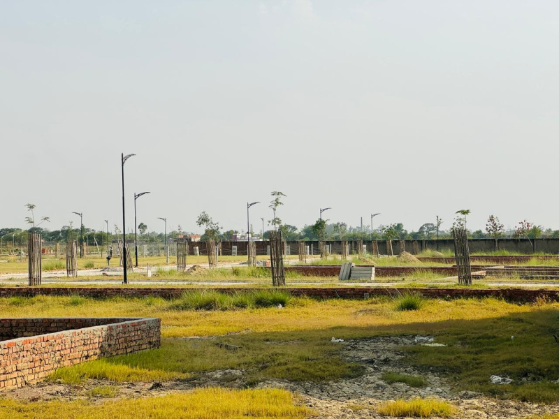  Residential Plot 1265 Sq.ft. for Sale in New Jail Road, New Jail Road, Lucknow
