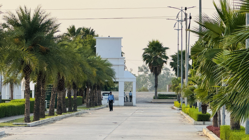  Residential Plot 1500 Sq.ft. for Sale in Sultanpur Road, Lucknow