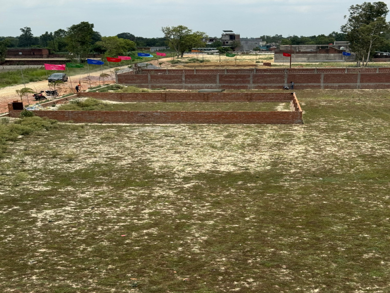  Residential Plot 1100 Sq.ft. for Sale in Gosainganj, Lucknow