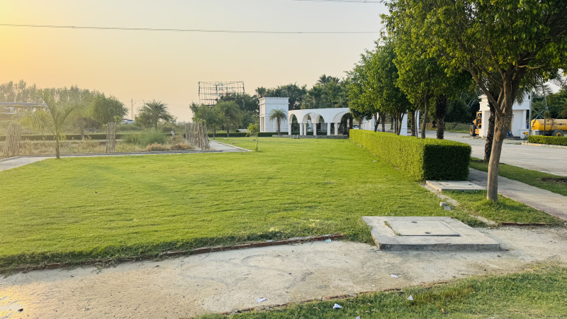  1150 Sq.ft. Residential Plot for Sale in Sultanpur Road, Lucknow